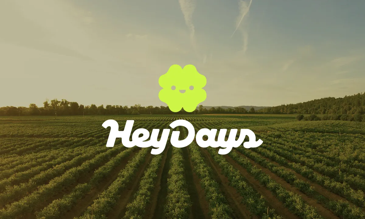 Sitio web de Heydays